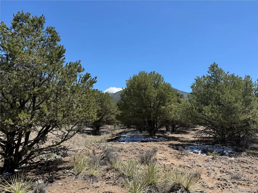 3231 Camino Del Rey, Crestone, CO 81131 - #3