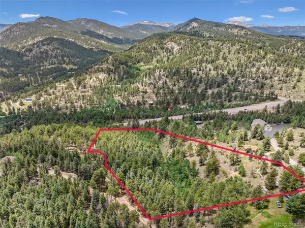 135 Linda Trail, Bailey, CO 80421