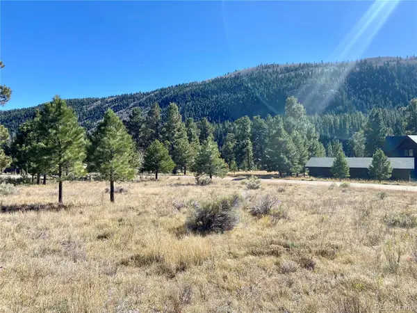 166 Lonesome Pine Drive, Antonito, CO 81120
