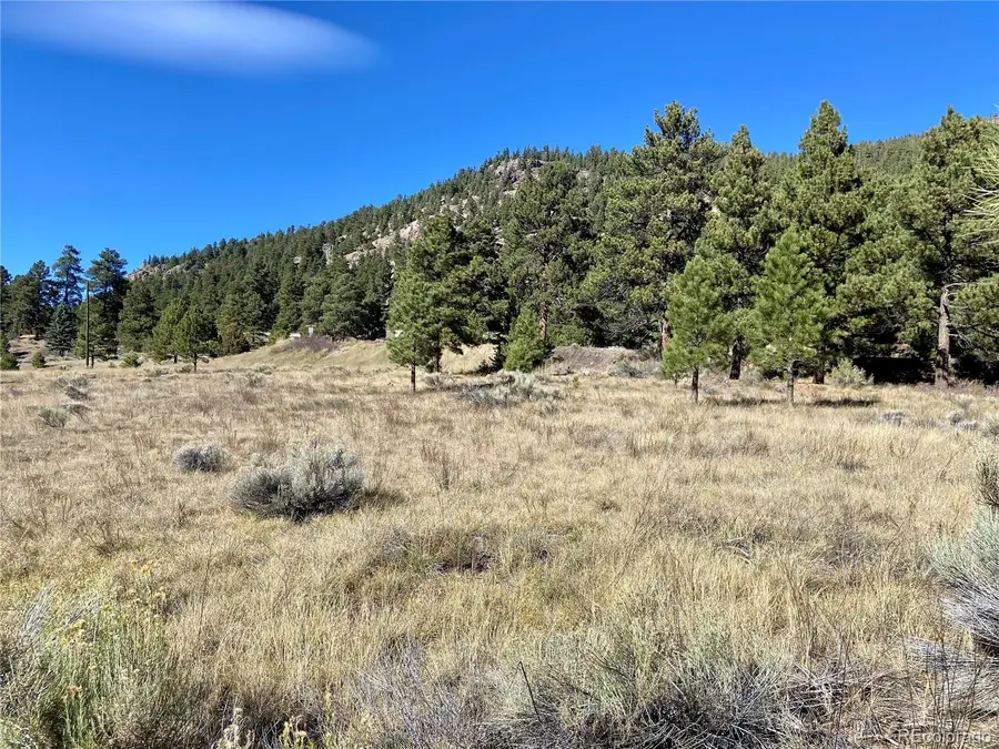 166 Lonesome Pine Drive, Antonito, CO 81120 - Image #3