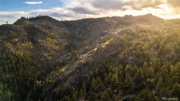 404 Valley Drive, Florissant, CO 80816