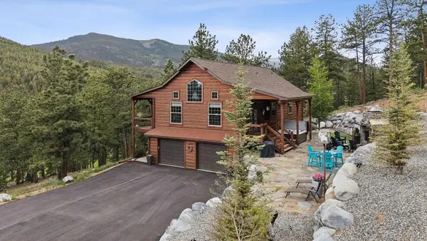 2894 County Road 43, Bailey, CO 80421