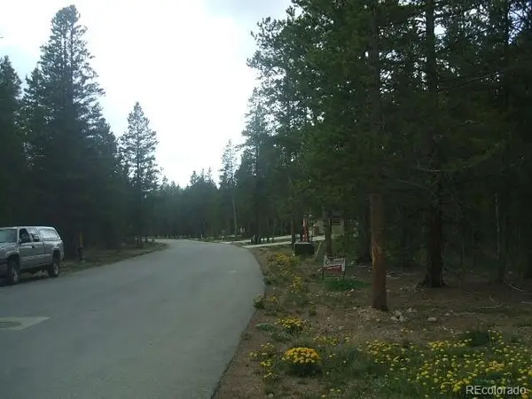 925 Copper Drive, Leadville, CO 80461