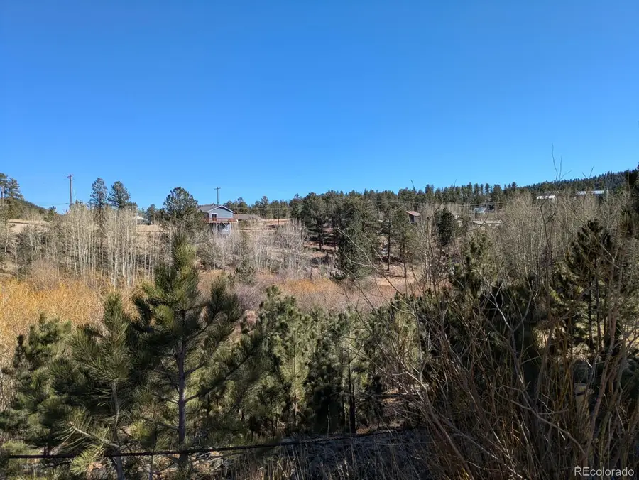 261 Appleby Street, Bailey, CO 80421 - #2