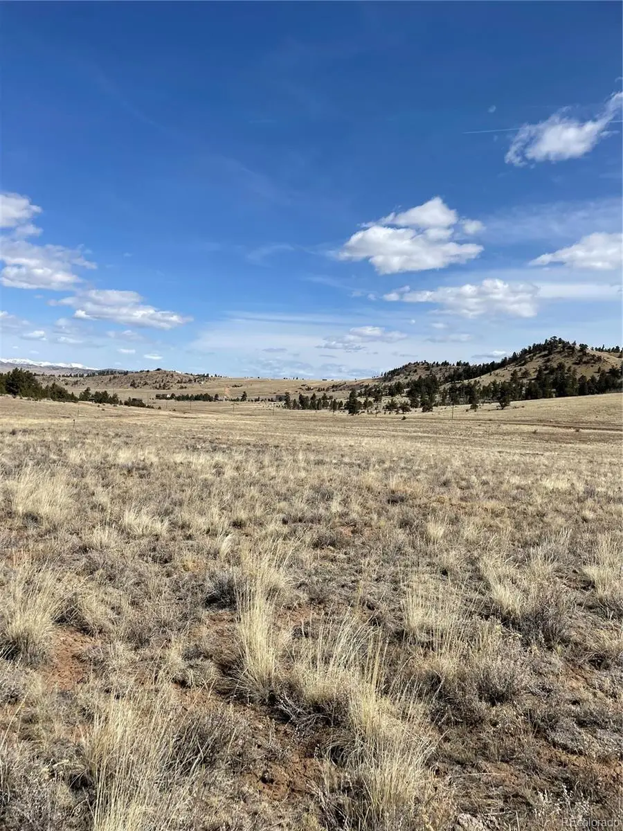 00 Guipago Trail, Hartsel, CO 80449 - #2