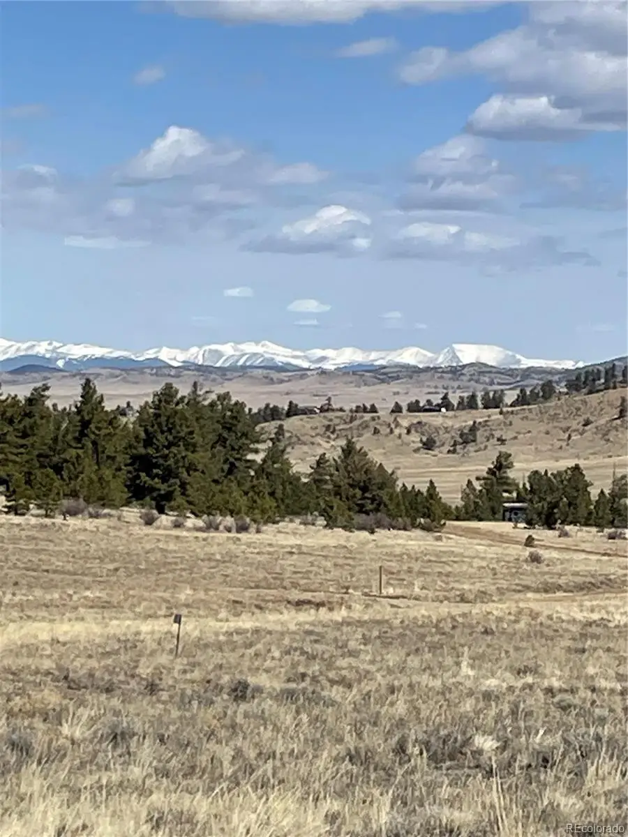 00 Guipago Trail, Hartsel, CO 80449 - #3