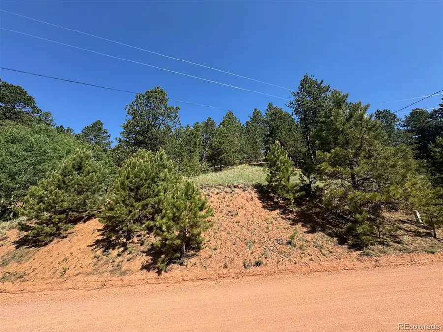 281 Pikes Peak Drive, Divide, CO 80814 - Image #2