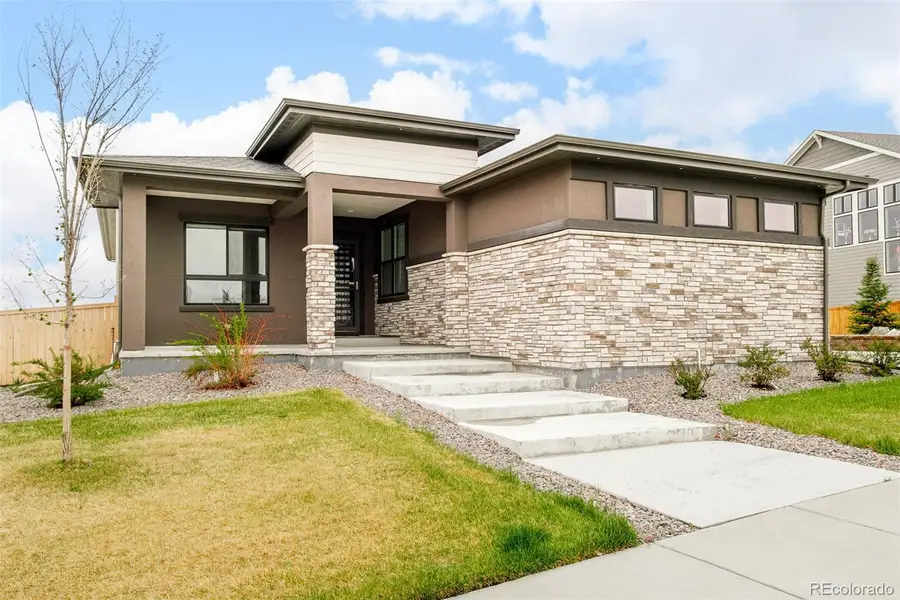 17284 Rose Mallow Avenue, Parker, CO 80134 - #2