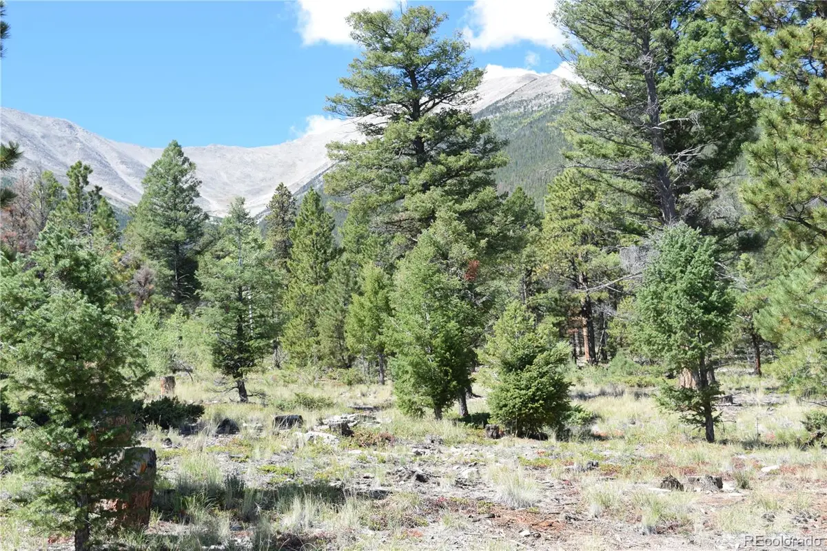 17225 County Road 327, Buena Vista, CO 81211 - #1