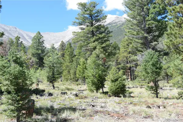 17225 County Road 327, Buena Vista, CO 81211