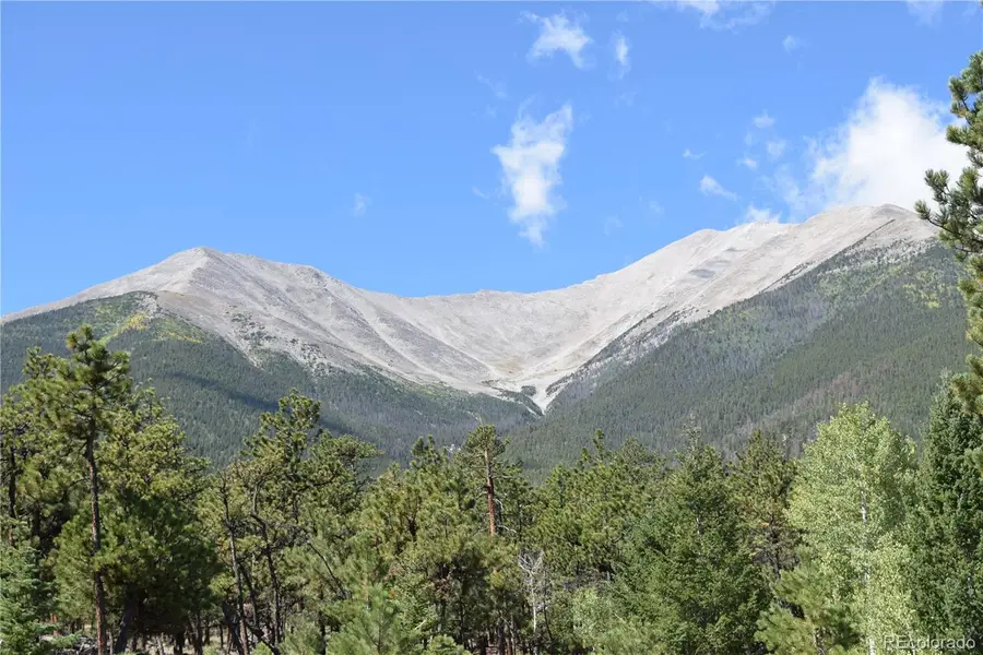 17225 County Road 327, Buena Vista, CO 81211 - #2