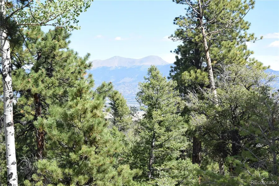 17225 County Road 327, Buena Vista, CO 81211 - #3