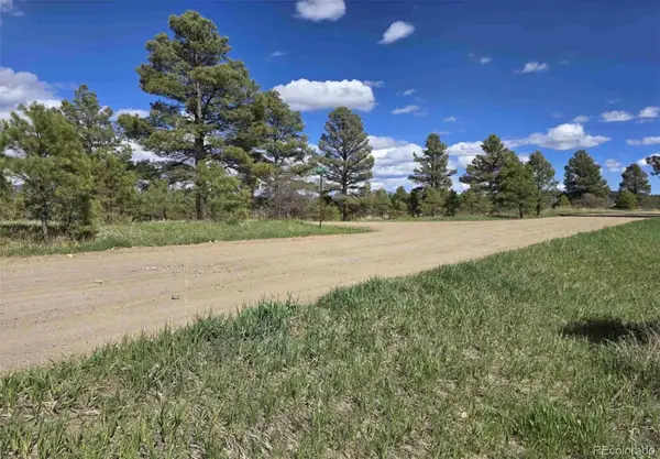 484 Prospect Boulevard, Pagosa Springs, CO 81147