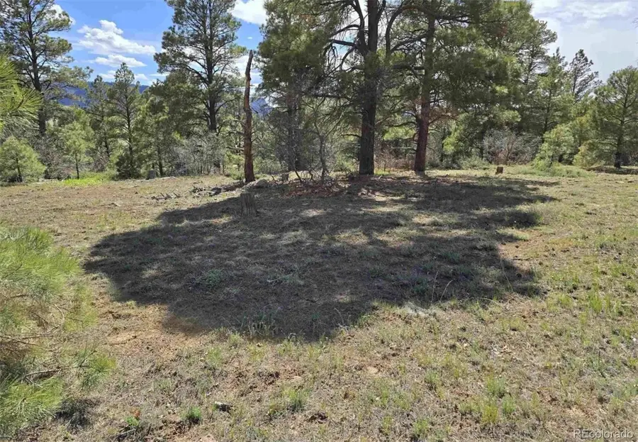 484 Prospect Boulevard, Pagosa Springs, CO 81147 - #3