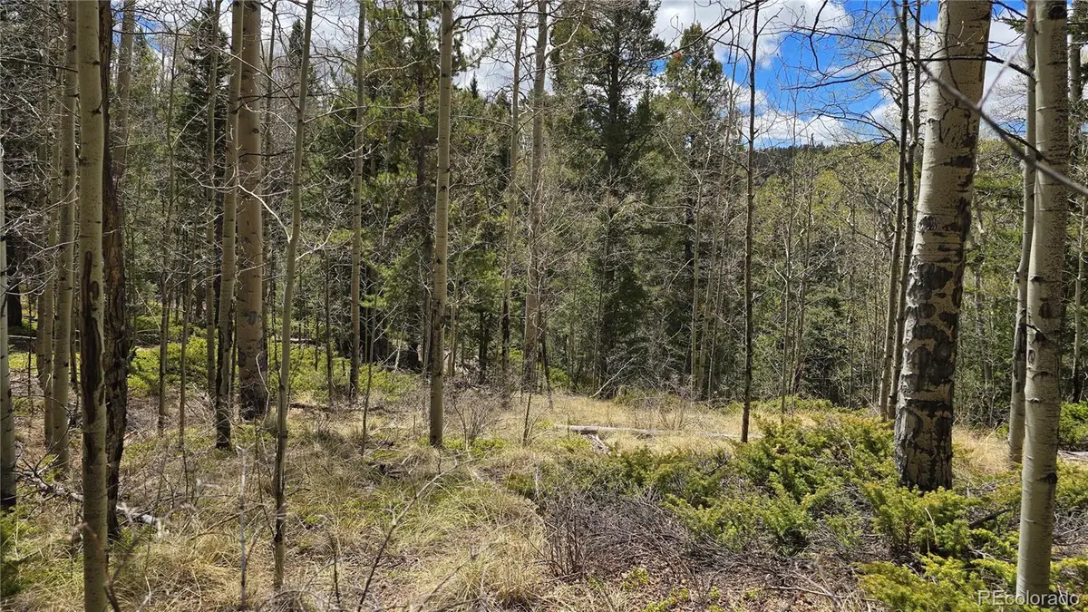 Lot 5853 Slegers Road, Fort Garland, CO 81133 - #1