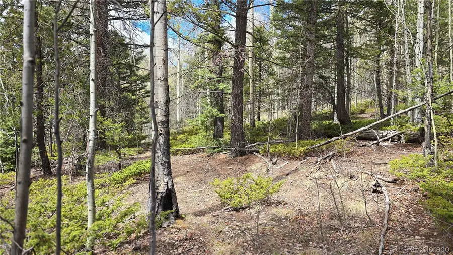 Lot 5853 Slegers Road, Fort Garland, CO 81133 - #3