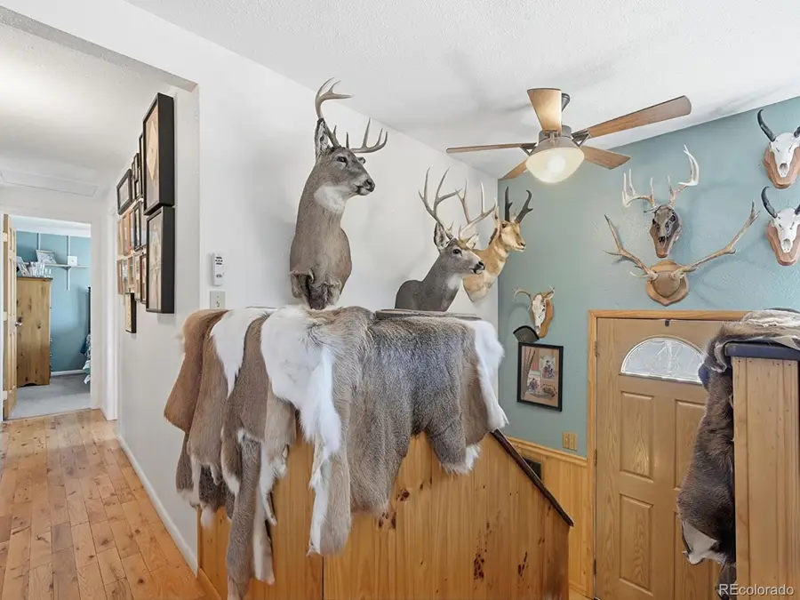 399 Conifer Drive, Bailey, CO 80421 - #2