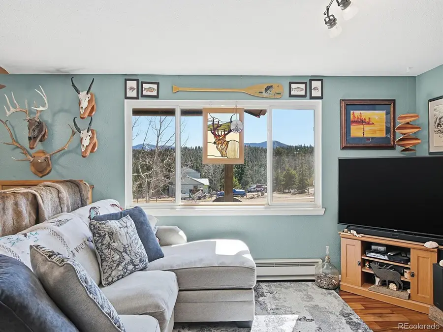 399 Conifer Drive, Bailey, CO 80421 - #3