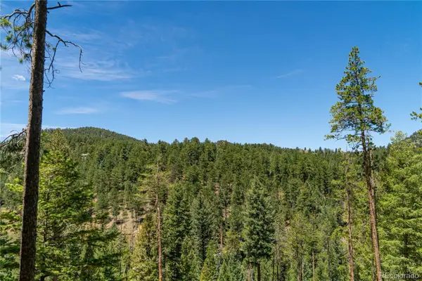 6814 Lynx Lair Road, Evergreen, CO 80439