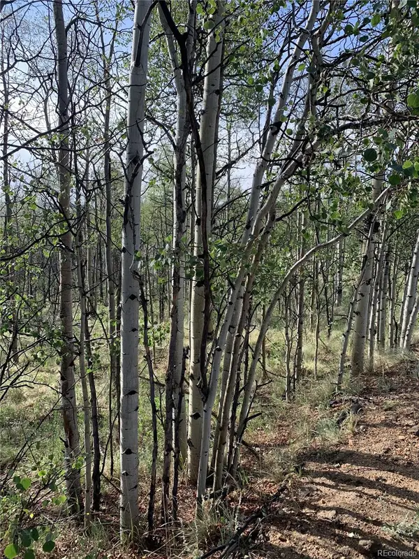 540 Vulture Lane, Como, CO 80432