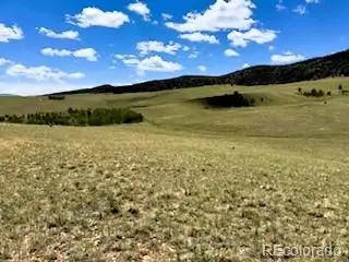 25 Sulky Court, Hartsel, CO 80449 - #1