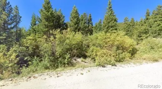 U1 Lot 47 Silver Creek Road, Idaho Springs, CO 80452 - #2