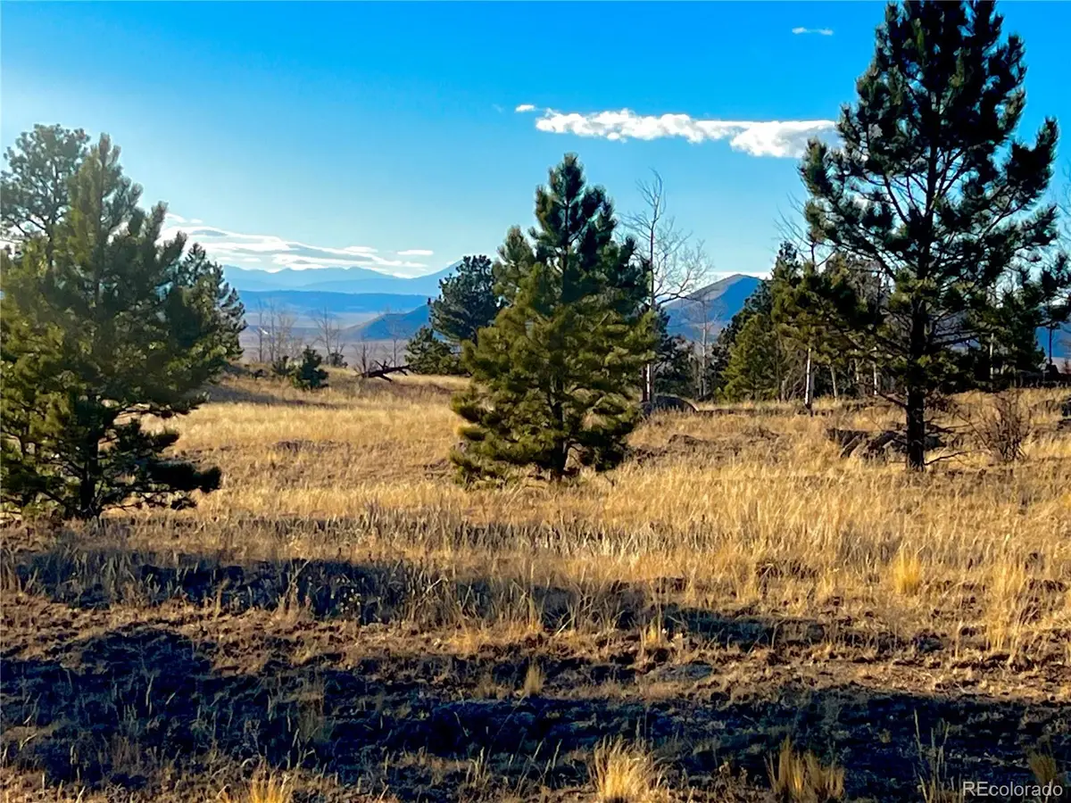 215 Topaz Road, Lake George, CO 80827 - #1