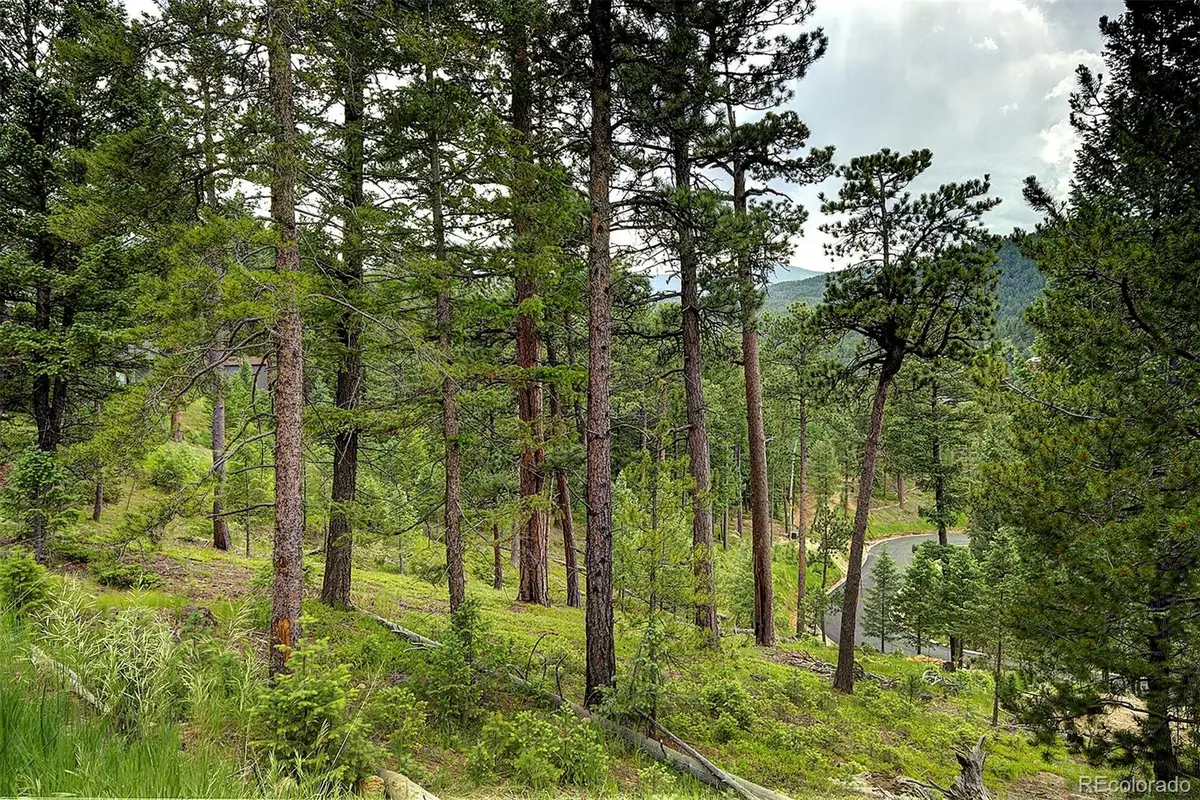6875 Lynx Lair Road, Evergreen, CO 80439 - #1