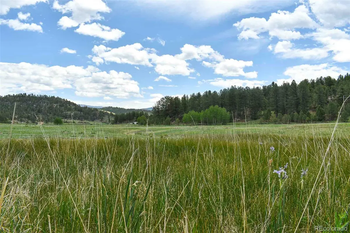 729 Valley Drive, Guffey, CO 80820 - #1