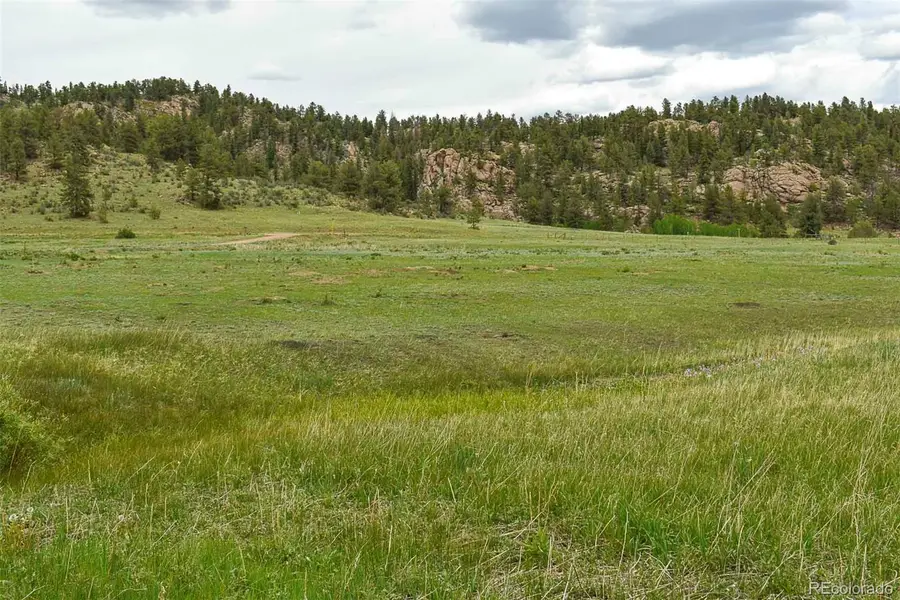 729 Valley Drive, Guffey, CO 80820 - #2