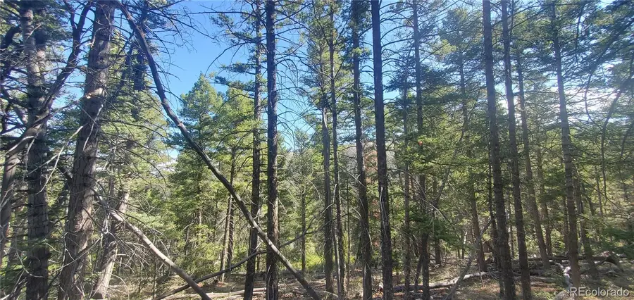 Lot 5273 Vivian Road, Fort Garland, CO 81133 - #2