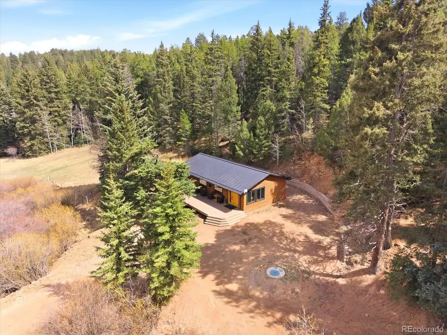 28084 Meadow Trail, Conifer, CO 80433 - #2