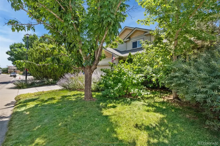 6078 Ulysses Avenue, Firestone, CO 80504 - #2