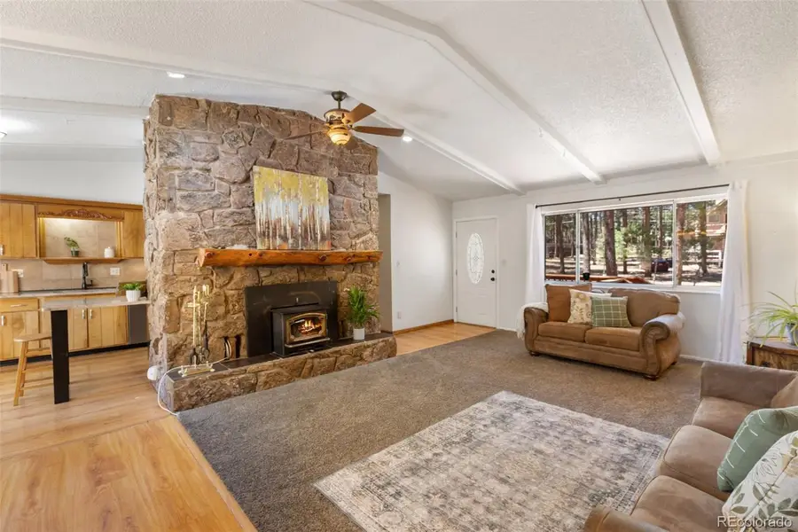 723 N Center Street, Woodland Park, CO 80863 - #2