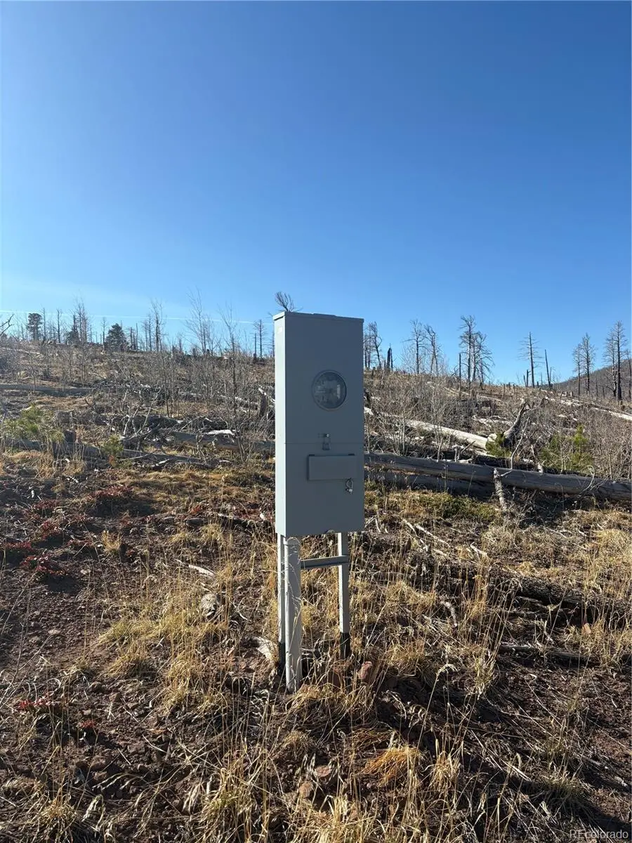 000 Riccardo Lane, Fort Garland, CO 81133 - #3