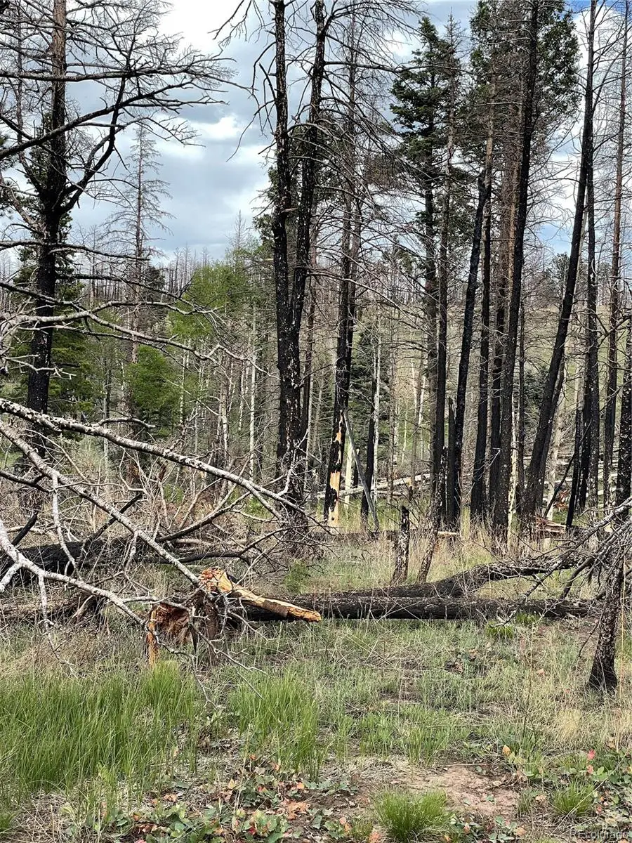 986 Levy Place, Fort Garland, CO 81133 - Image #1