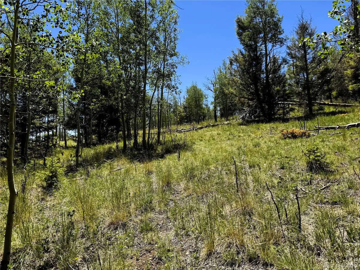 144 Kaufman Court, Hartsel, CO 80449 - #1