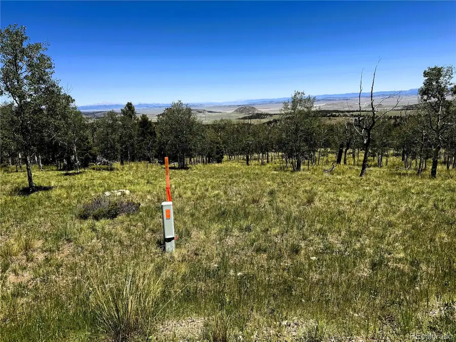 144 Kaufman Court, Hartsel, CO 80449 - #3