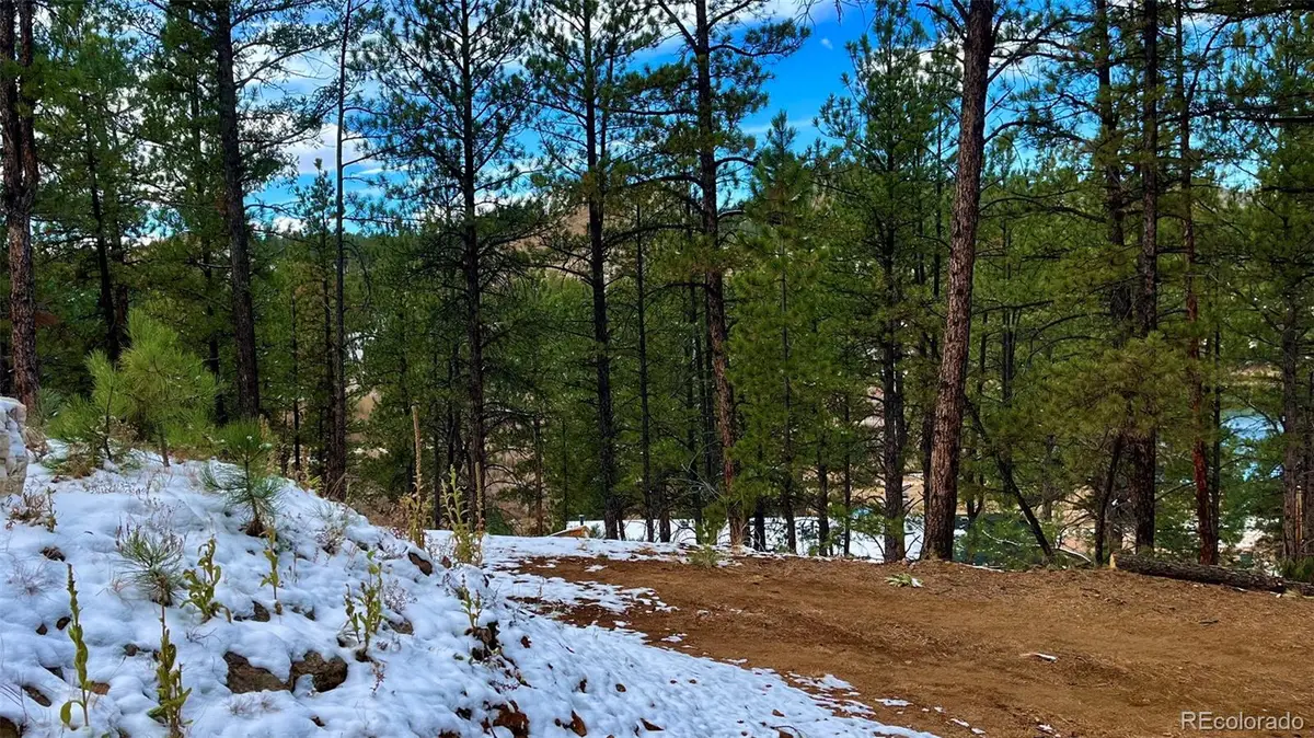 15126 N Pine Lake Place, Woodland Park, CO 80863 - Image #1