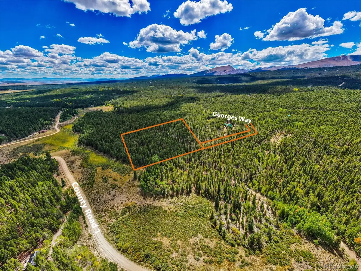 380 Georges Way, Alma, CO 80420 - #1