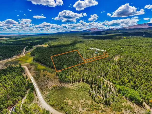380 Georges Way, Alma, CO 80420
