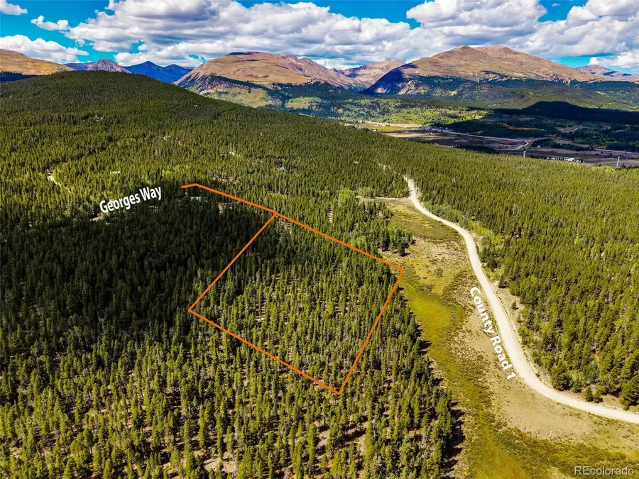 380 Georges Way, Alma, CO 80420 - #2