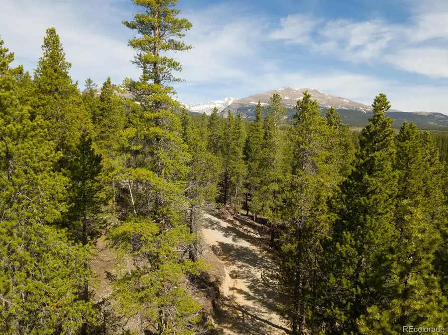 380 Georges Way, Alma, CO 80420 - #3