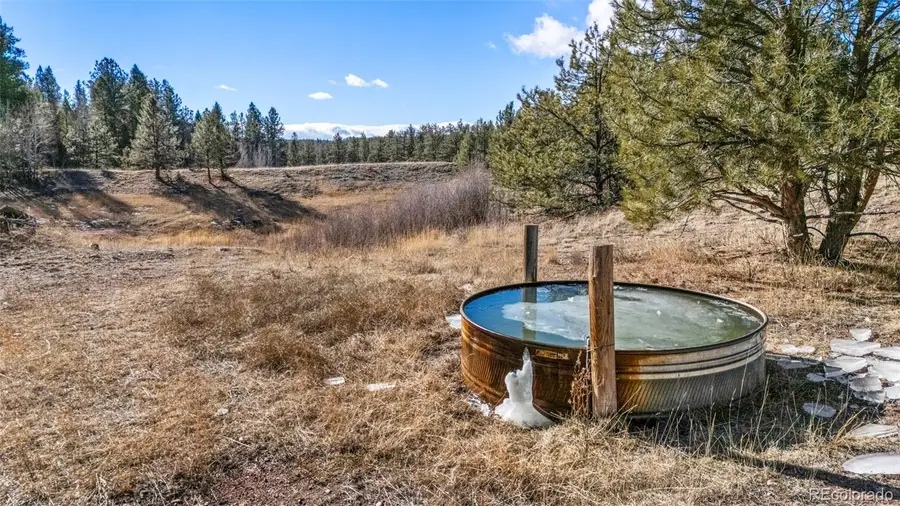 0 County Road 12, Florissant, CO 80816 - Image #3