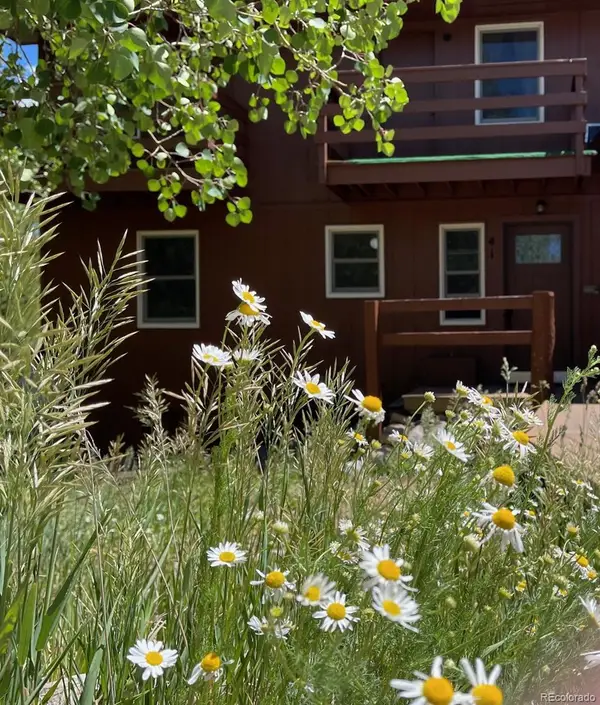 41 Poplar Circle, Silverthorne, CO 80498
