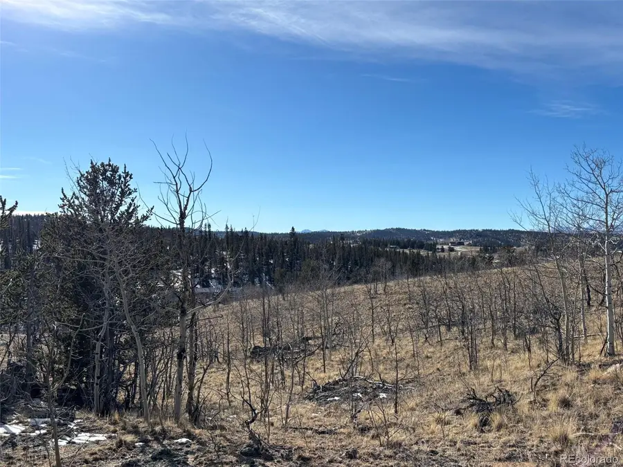 29 Strelets Way, Como, CO 80432 - Image #2