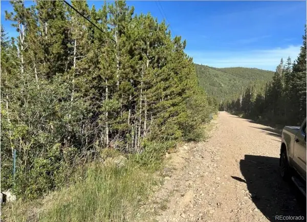 343 Aspen Road, Idaho Springs, CO 80452