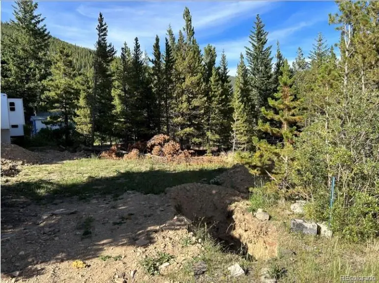 343 Aspen Road, Idaho Springs, CO 80452 - #2