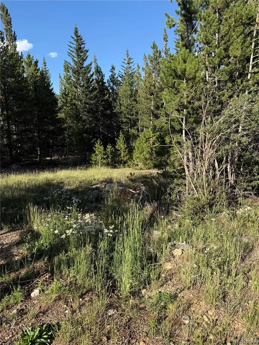 343 Aspen Road, Idaho Springs, CO 80452 - #3