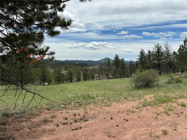 266 Chapparal Trail, Florissant, CO 80816